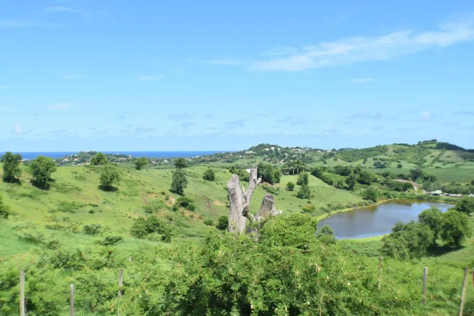 Bungalow la paillote