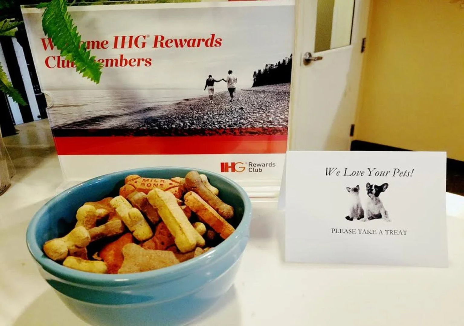 Candlewood Suites East Syracuse - Carrier Circle by IHG