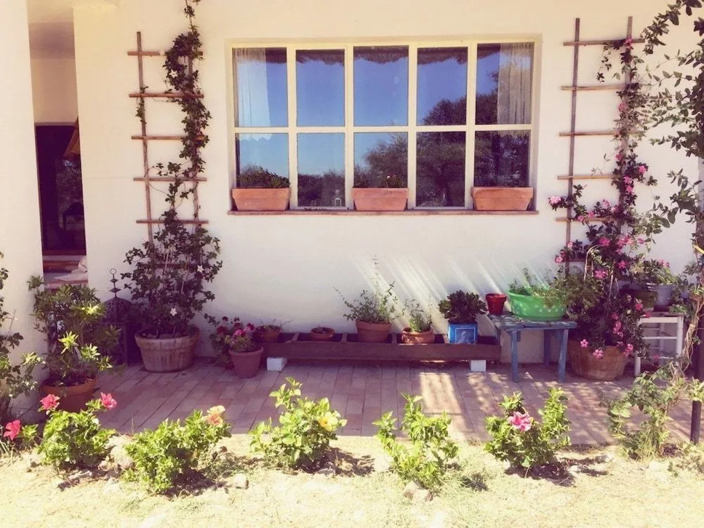 Flores Amarillas B&B