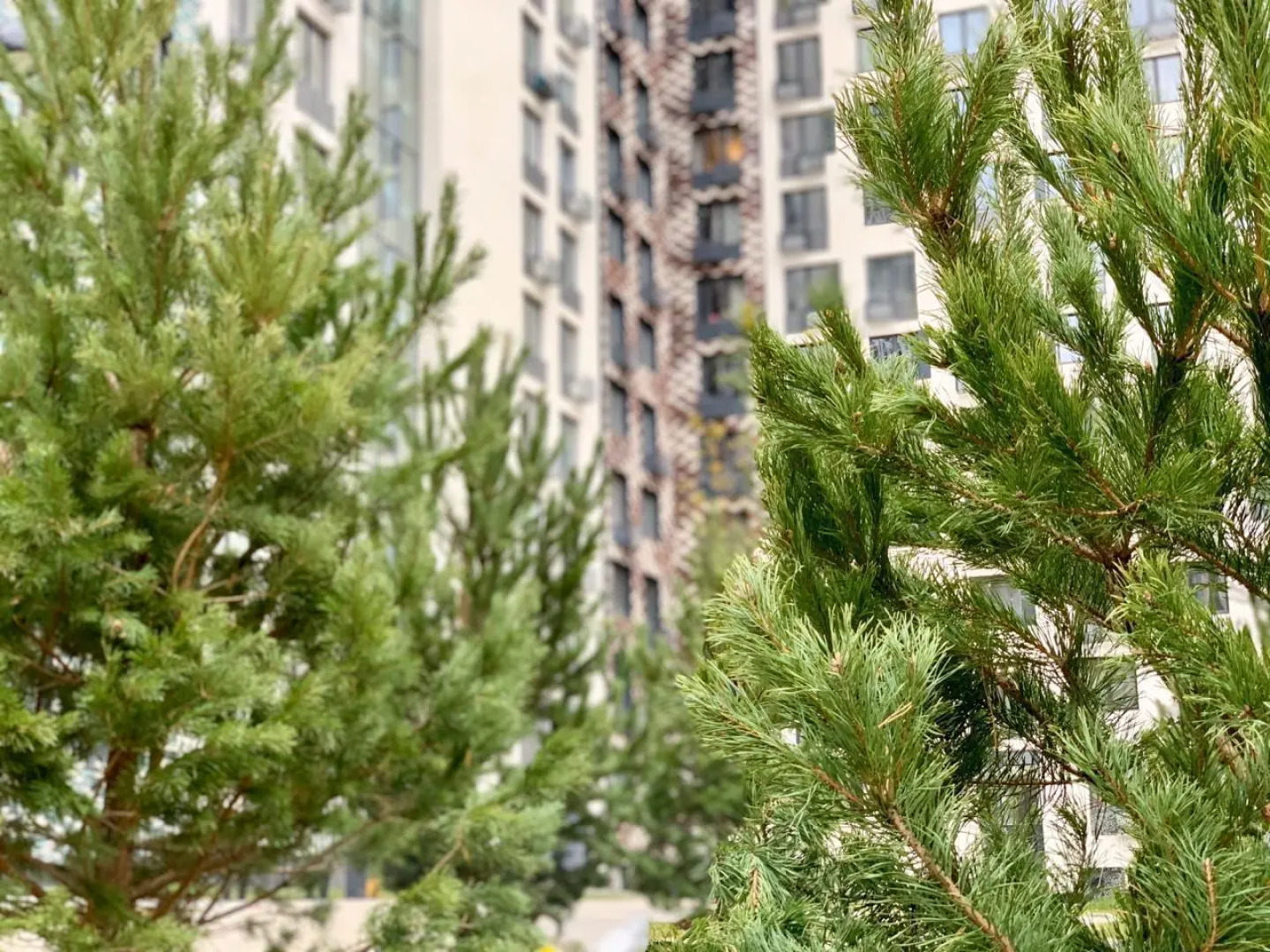 Апартаменты в квартале Центральный