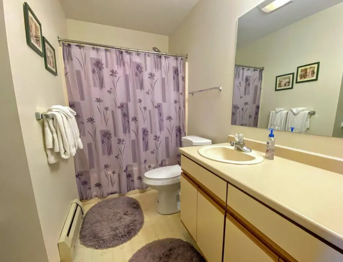 Bretton Woods Resort Condos