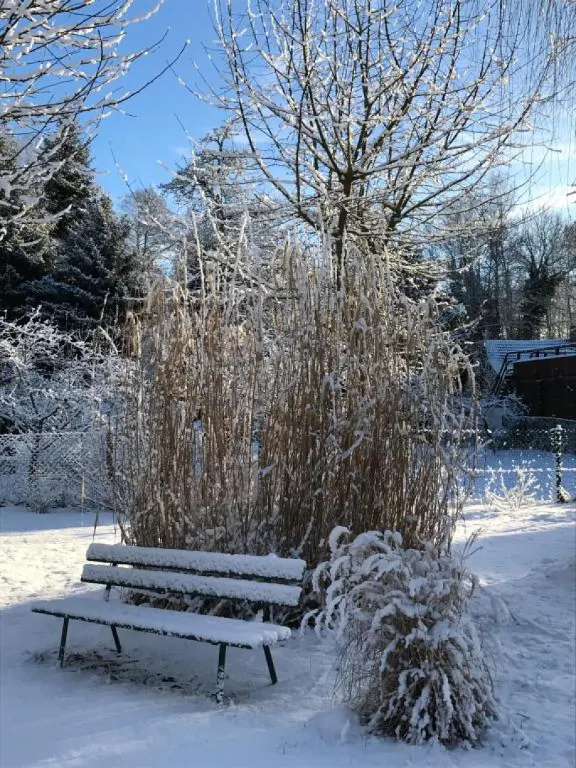 Ferienwohnungen direkt am Wasser