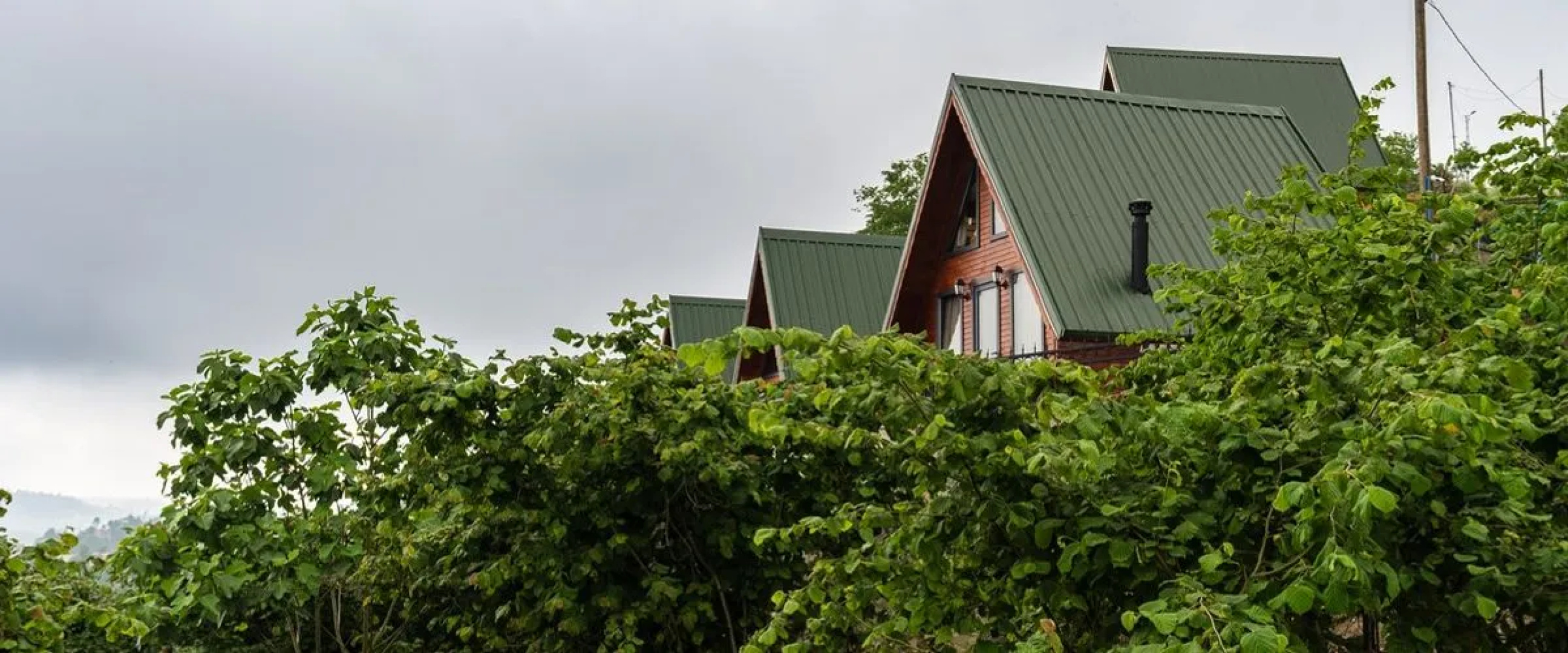 Harmanli Bungalov