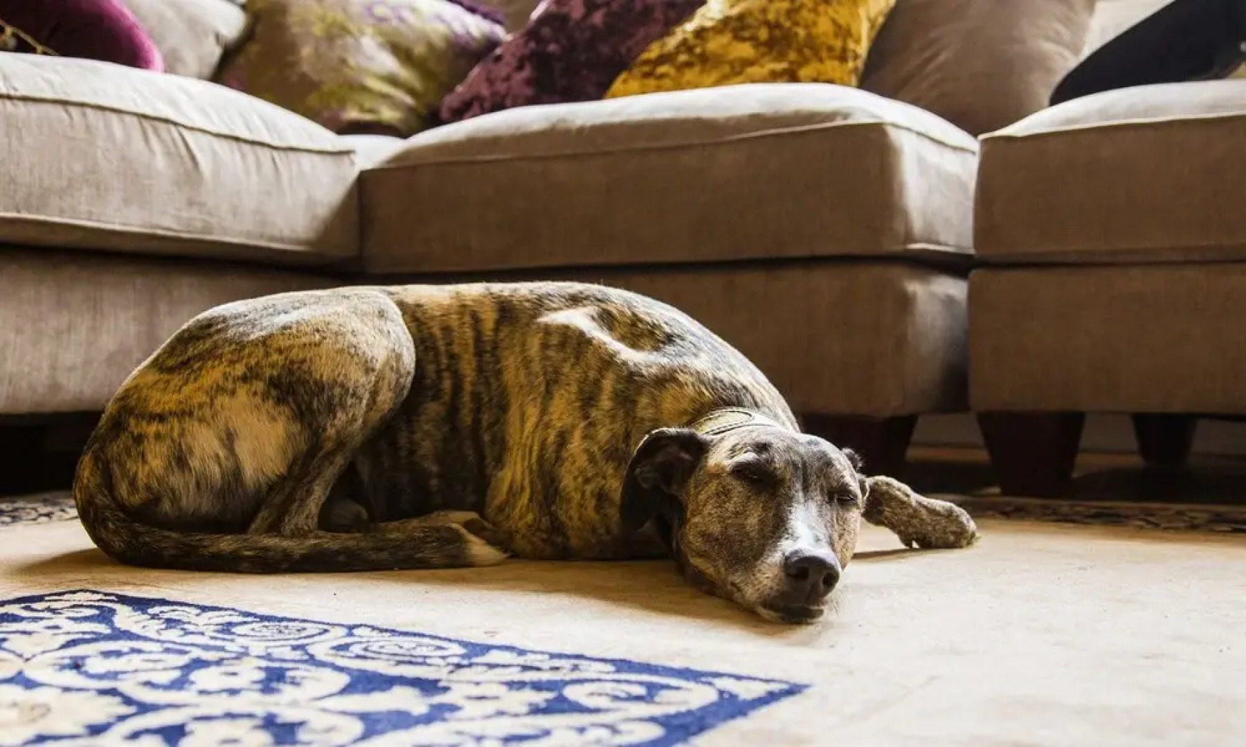 The Bull at Brenchley