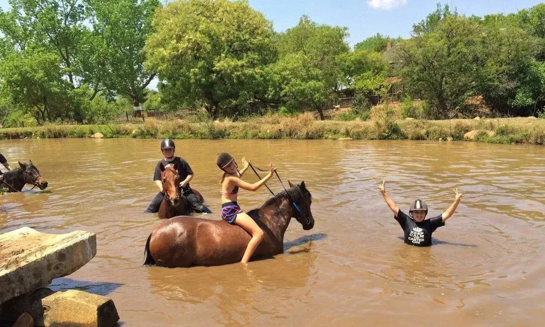 Lydenrust Guest Farm and Horse Trails
