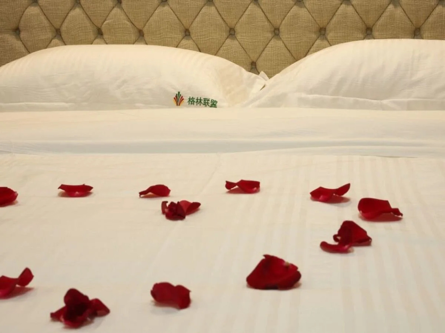 GreenTree Alliance Anhui Chuzhou Middle Qingliu Road Qingliu Bridge Hotel