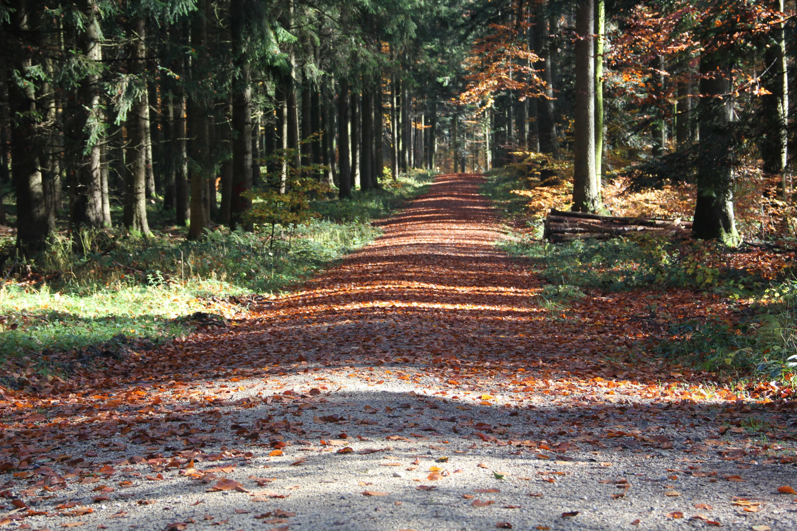 Zum Hirschen Landgasthof