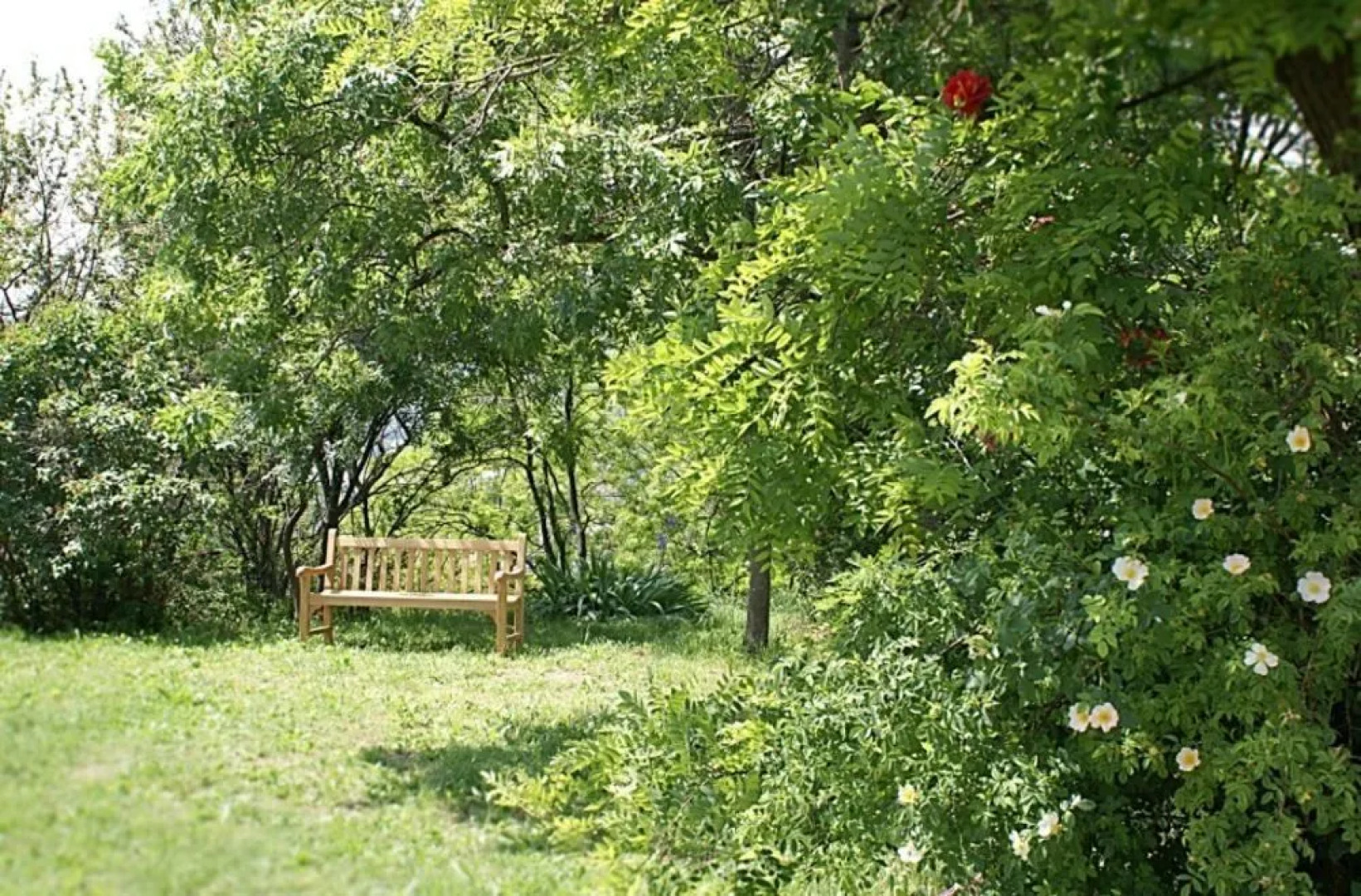 Agriturismo Canovetta Del Vento