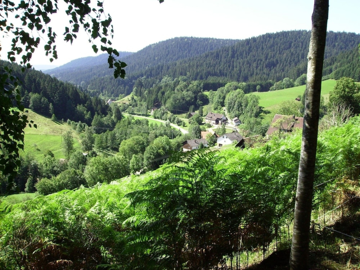 Magnificent Holiday Home in Reinerzau With Sauna