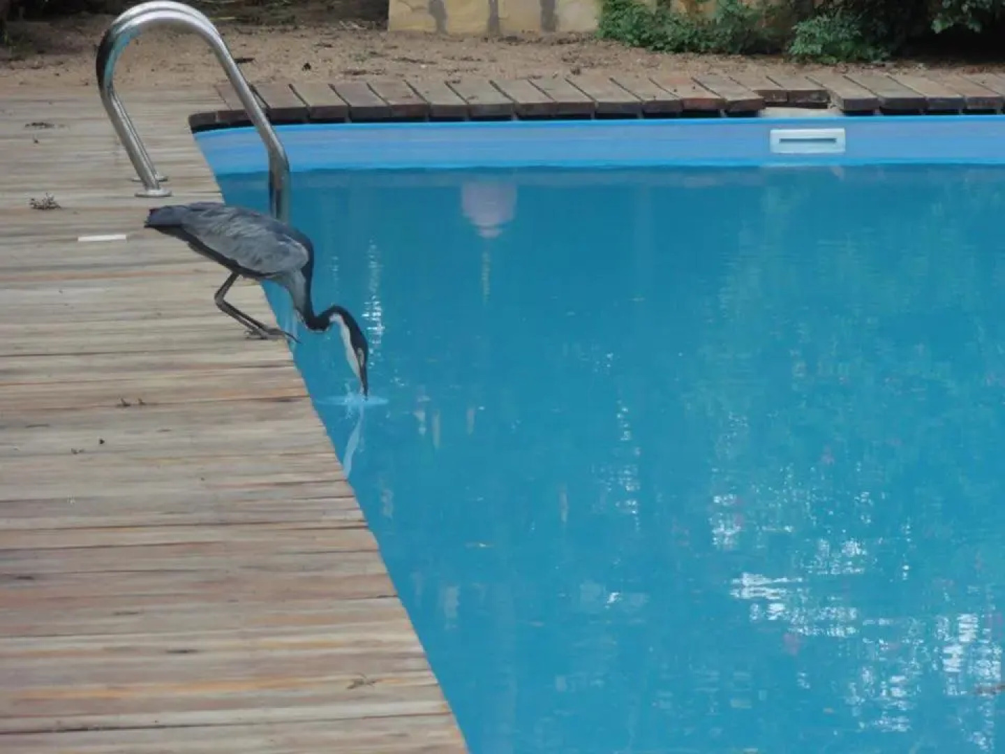 Meru House Lekisilai