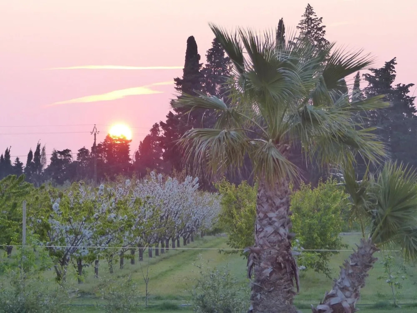 Bungalow With one Bedroom in Elne, With Wonderful Mountain View and Te