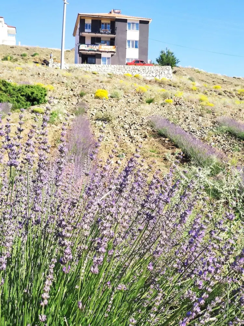 Beyaz Adalar Atlihan Apart Otel