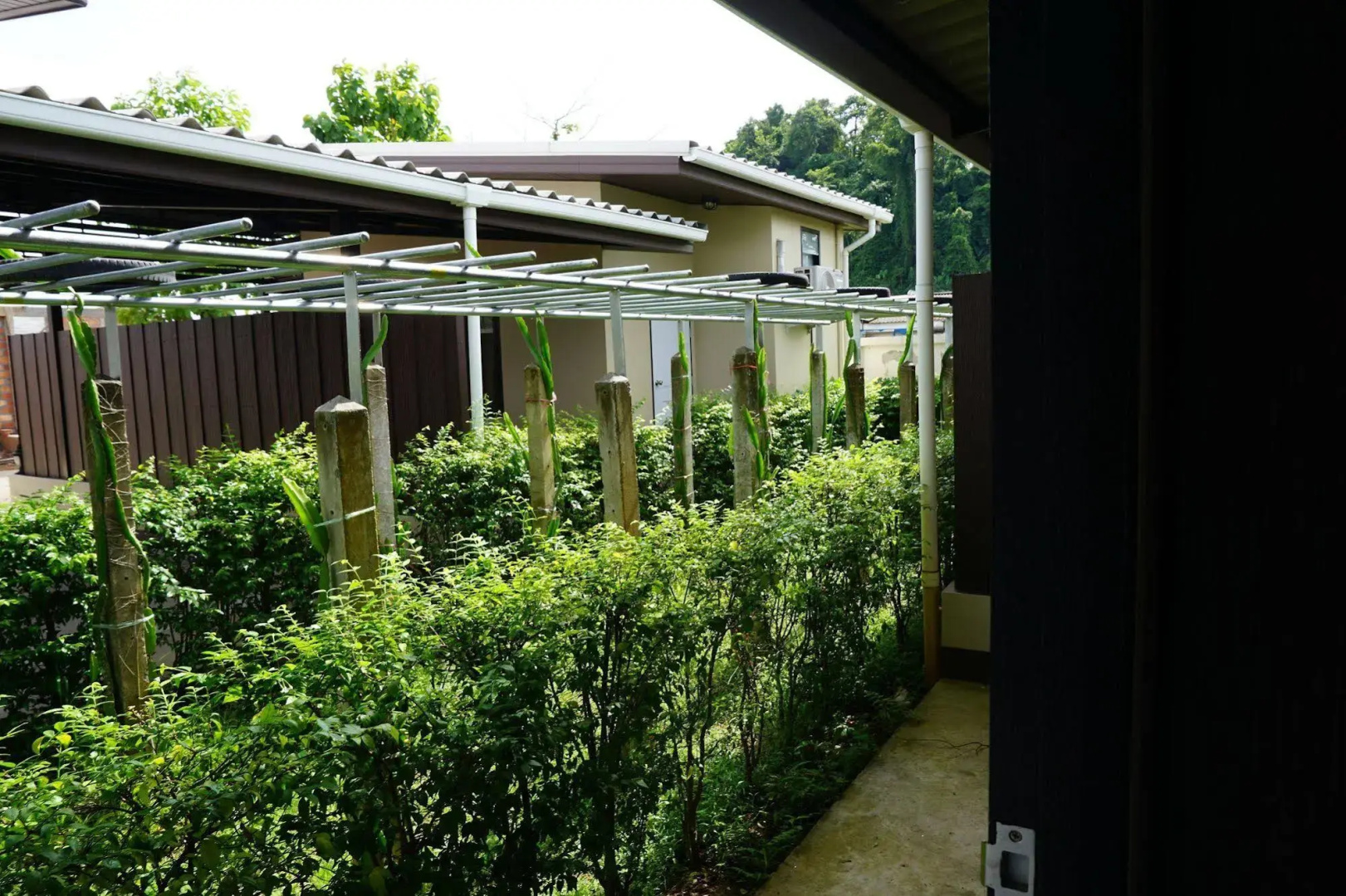 Phumipat Resort Thungsong