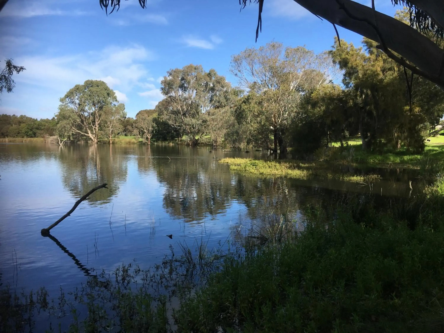 The Dairy Cottage - Lake Lorne - Drysdale
