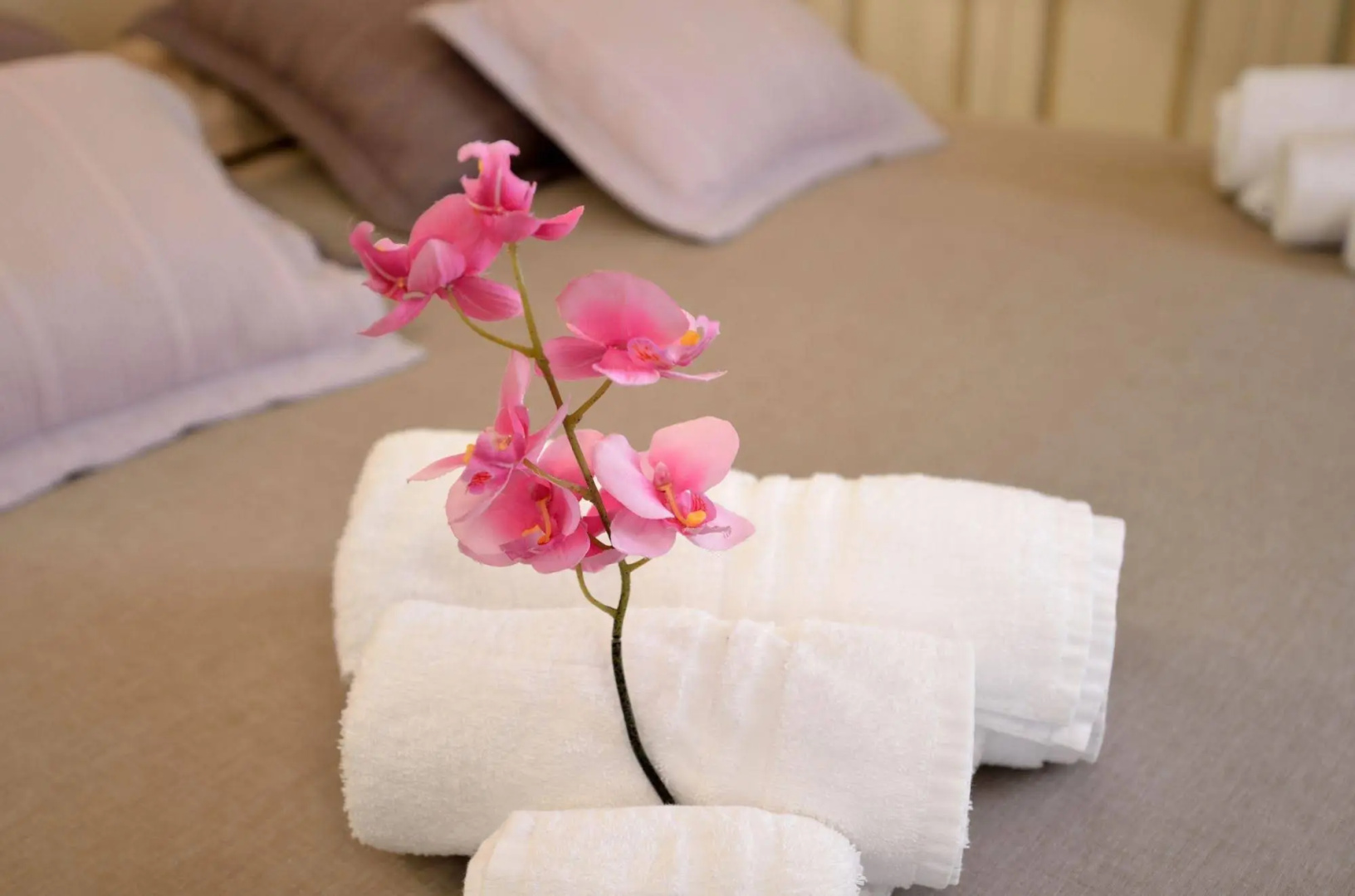 Suitelowcost Saint Tropez