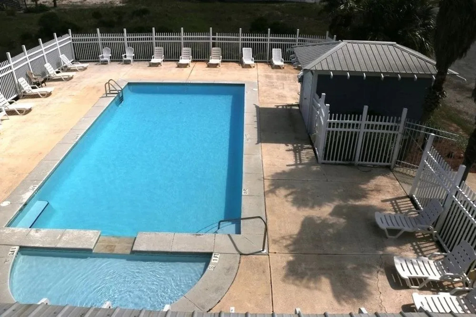 Sea Turtle by RedAwning