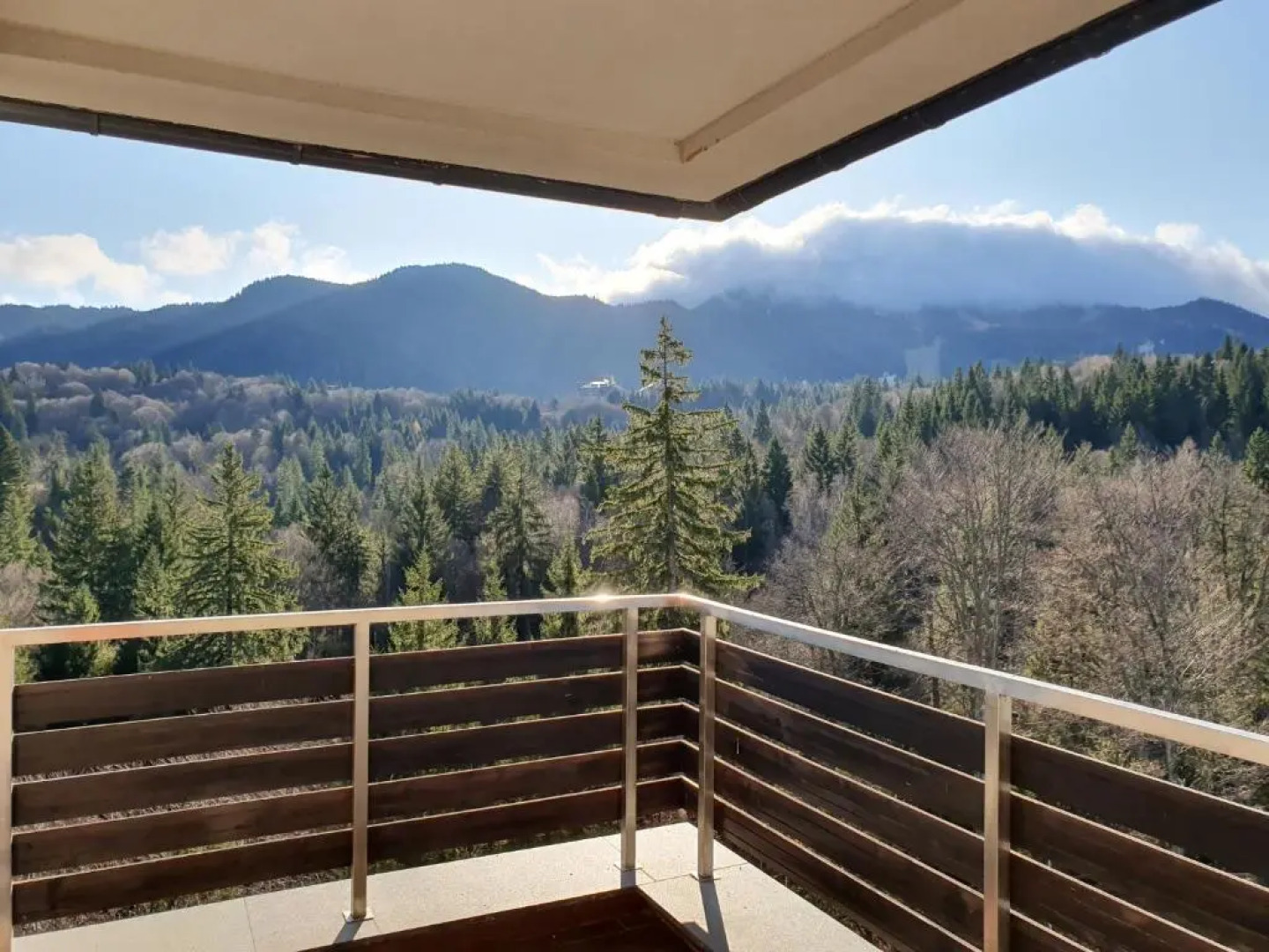 Silver Mountain Panoramic View G1 48