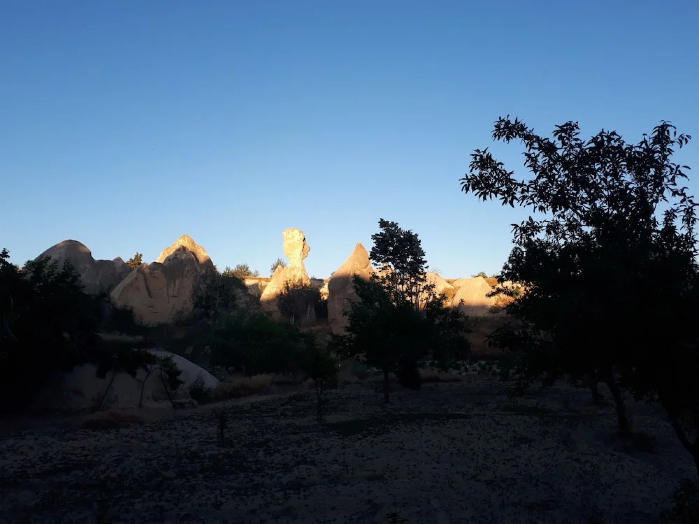 Di̇ri̇li̇ş Banarya Pansi̇yon