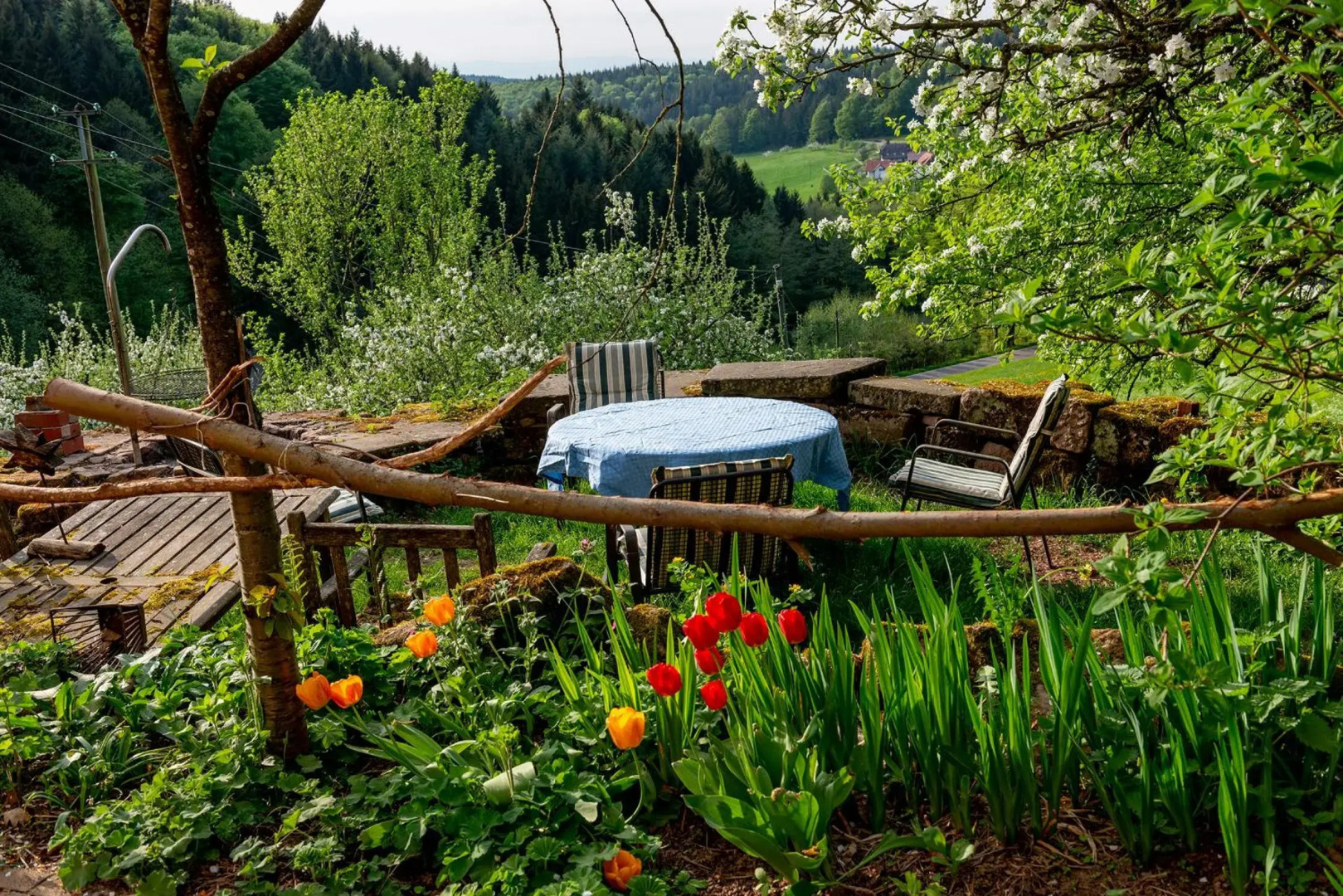 Ferienwohnung Jolly Joker