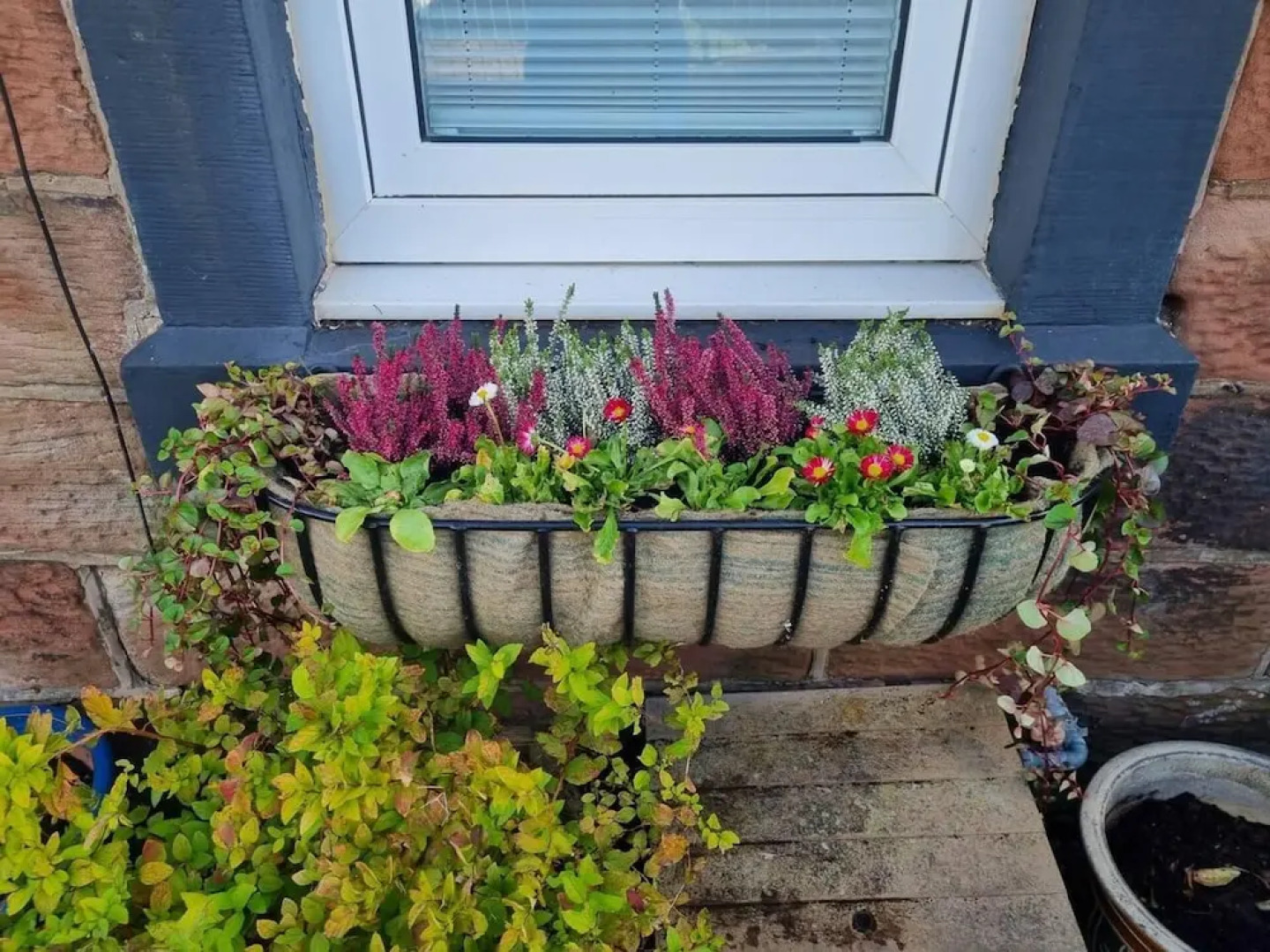 Lovely 2-bed Cottage in Saint Bees 'Ca Lola'