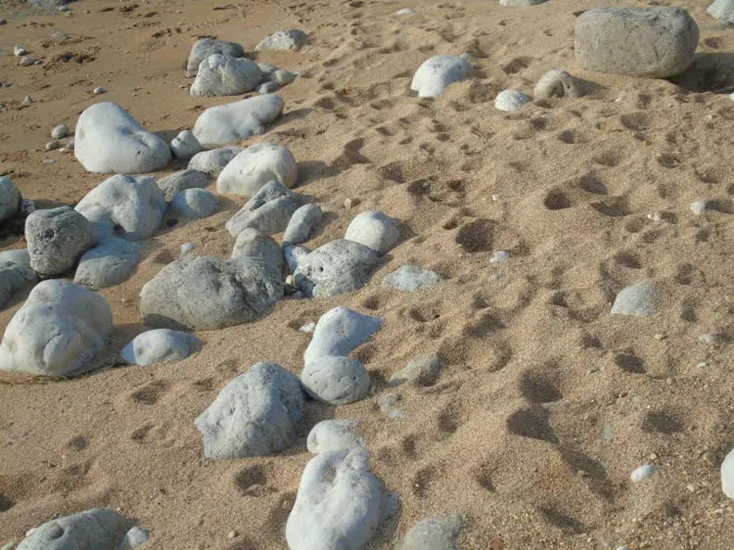 Letchworth Guest House