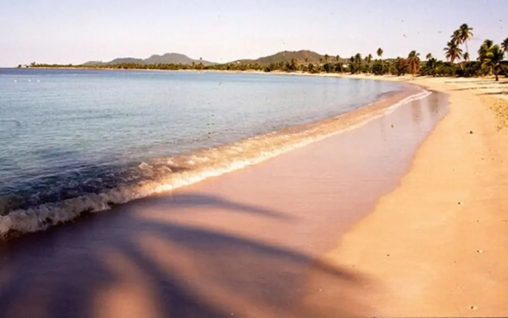 Trade Winds Guesthouse