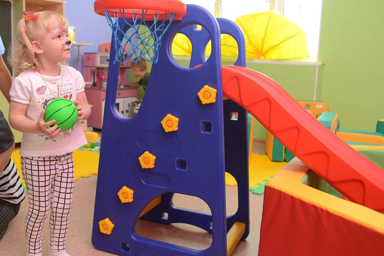 Кедровый бор