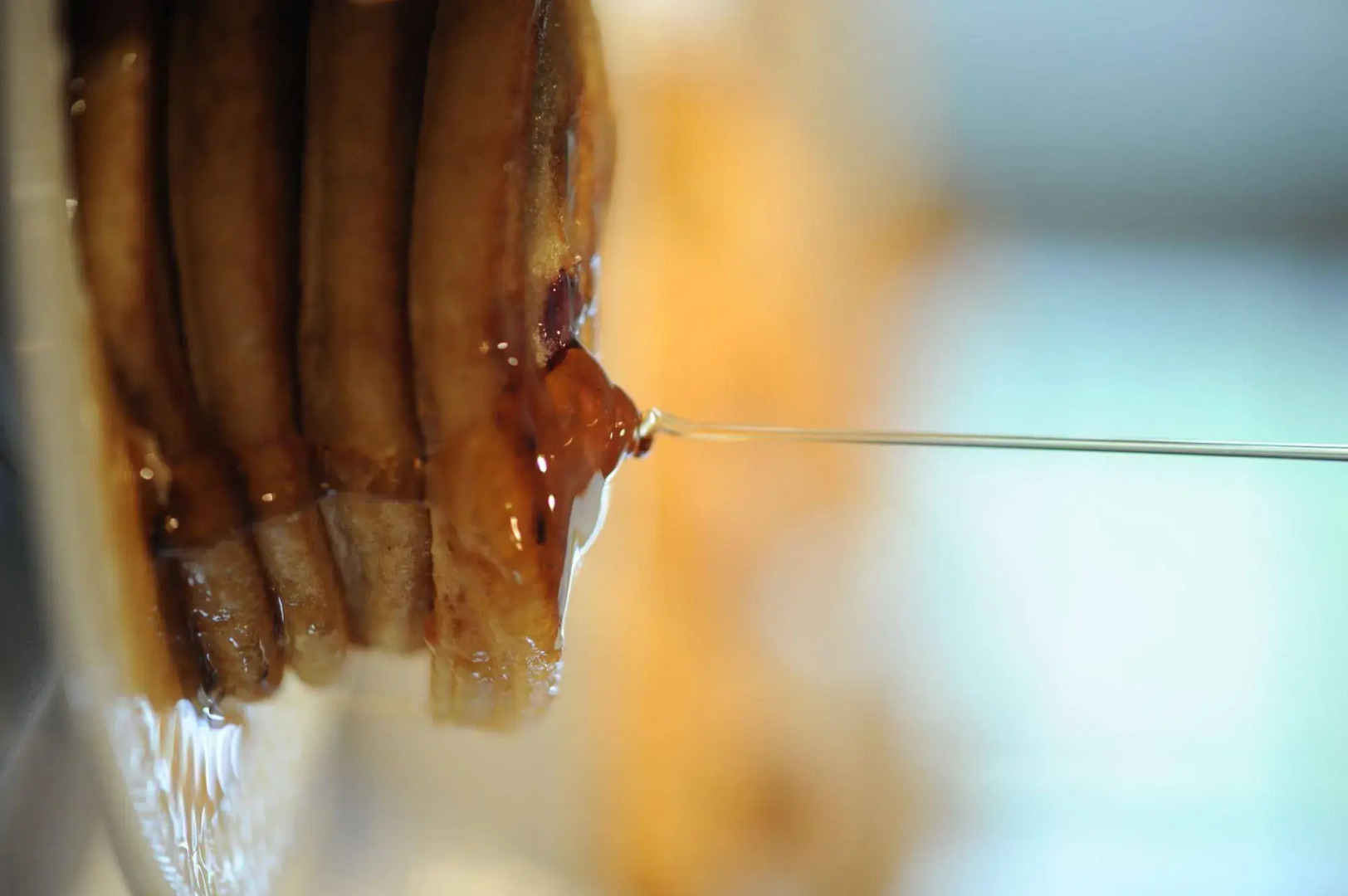 Shangri-La Boutique Bed & Breakfast