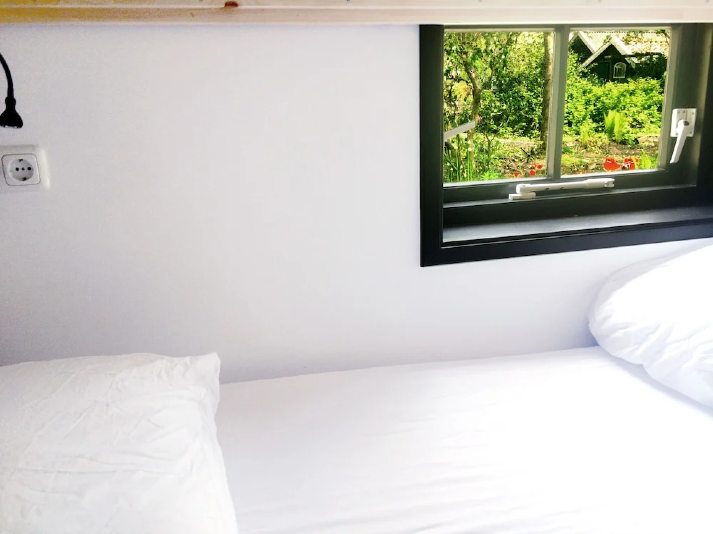 The Black Sheep Hostel