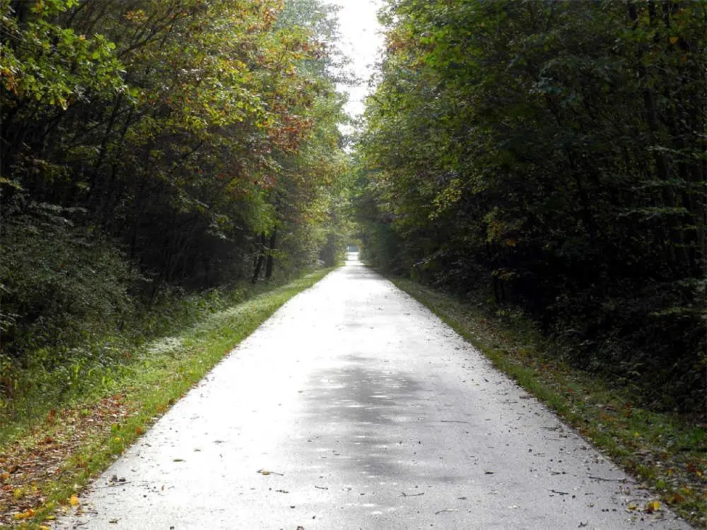 Ferienwohnung Warthe UCK 595