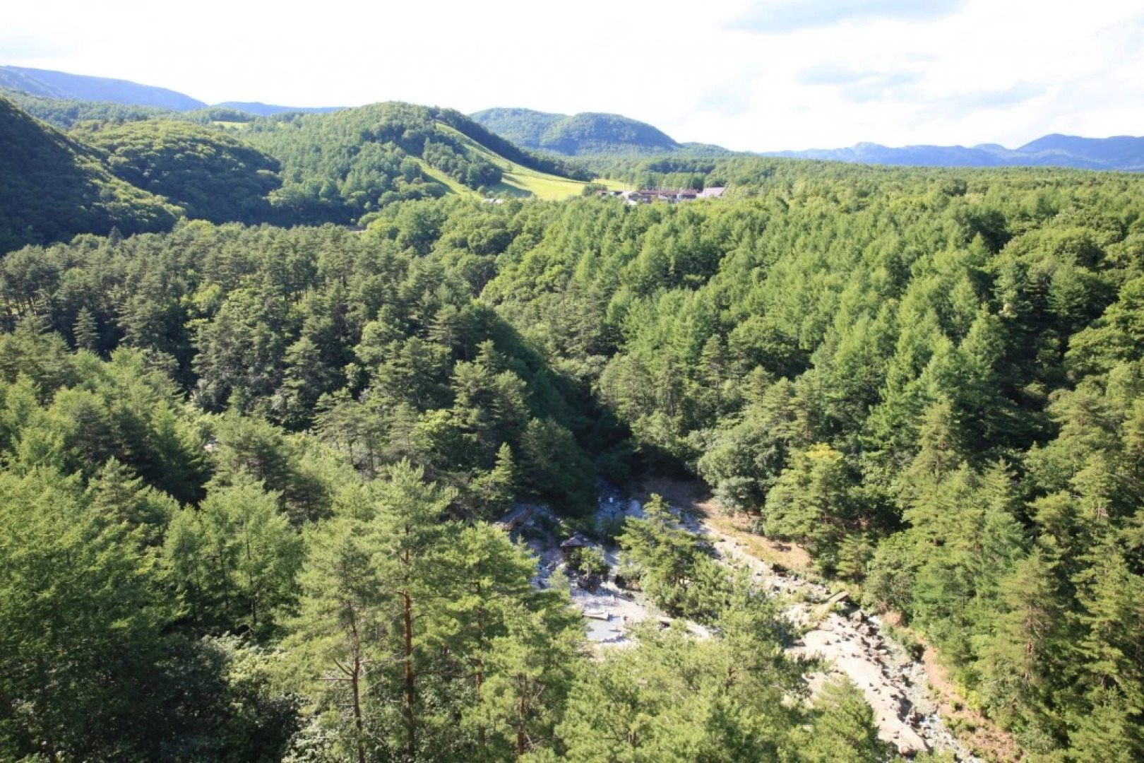 Economy Backpackers Hotel New Koyo