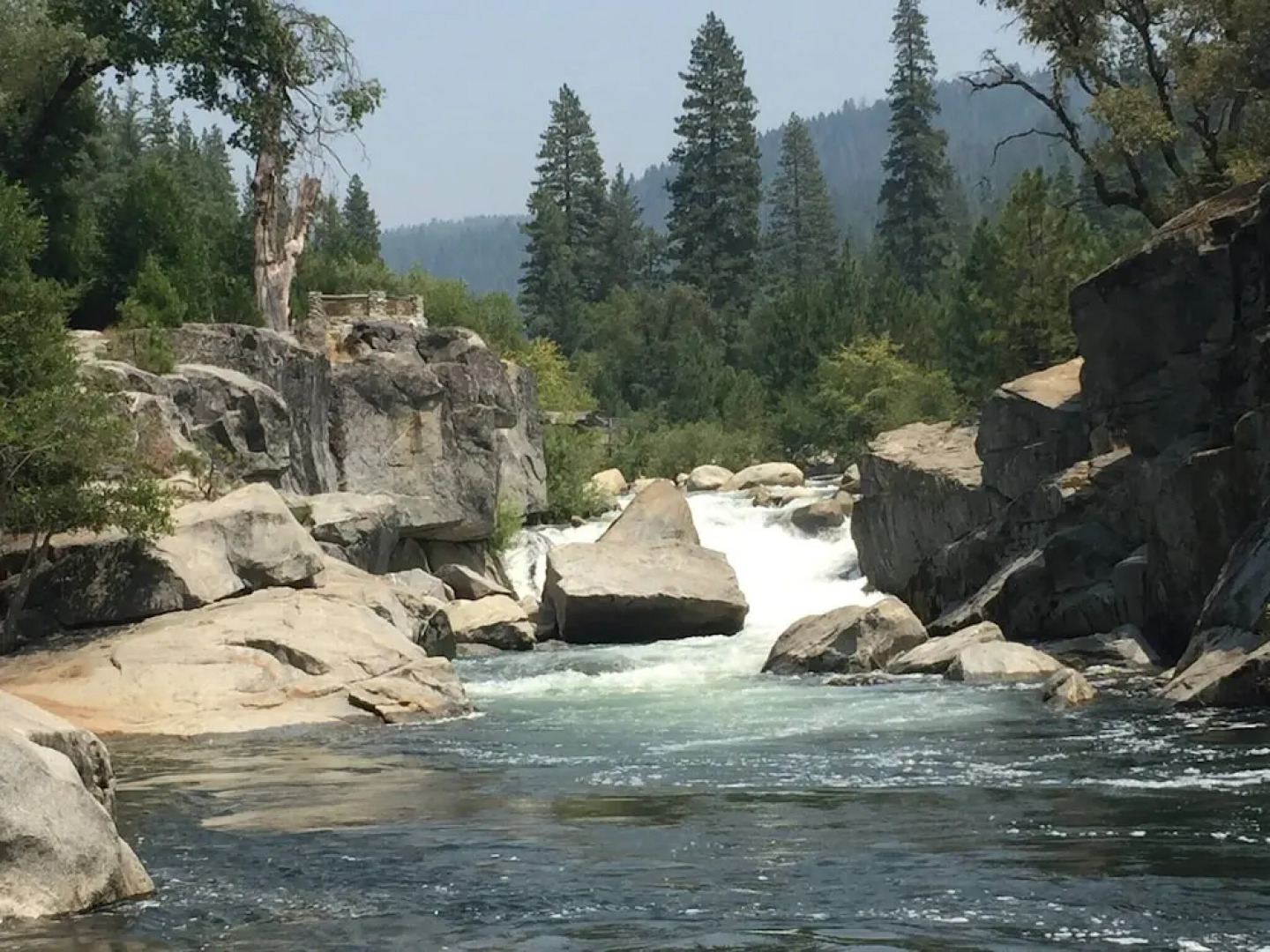 Glorious Summer At Cabin On The Creek