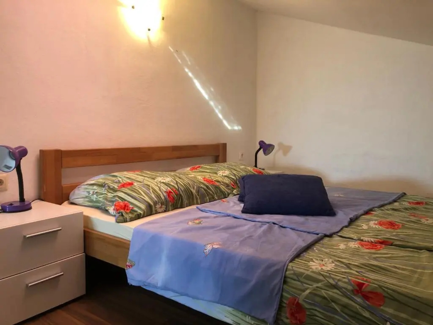 Apartment Zoran Pošesi