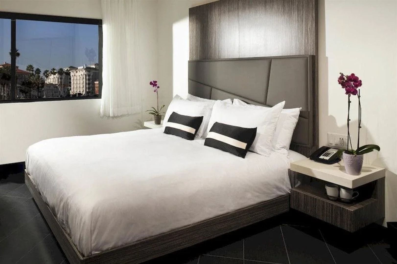 Capital Inn  Suites Hotel