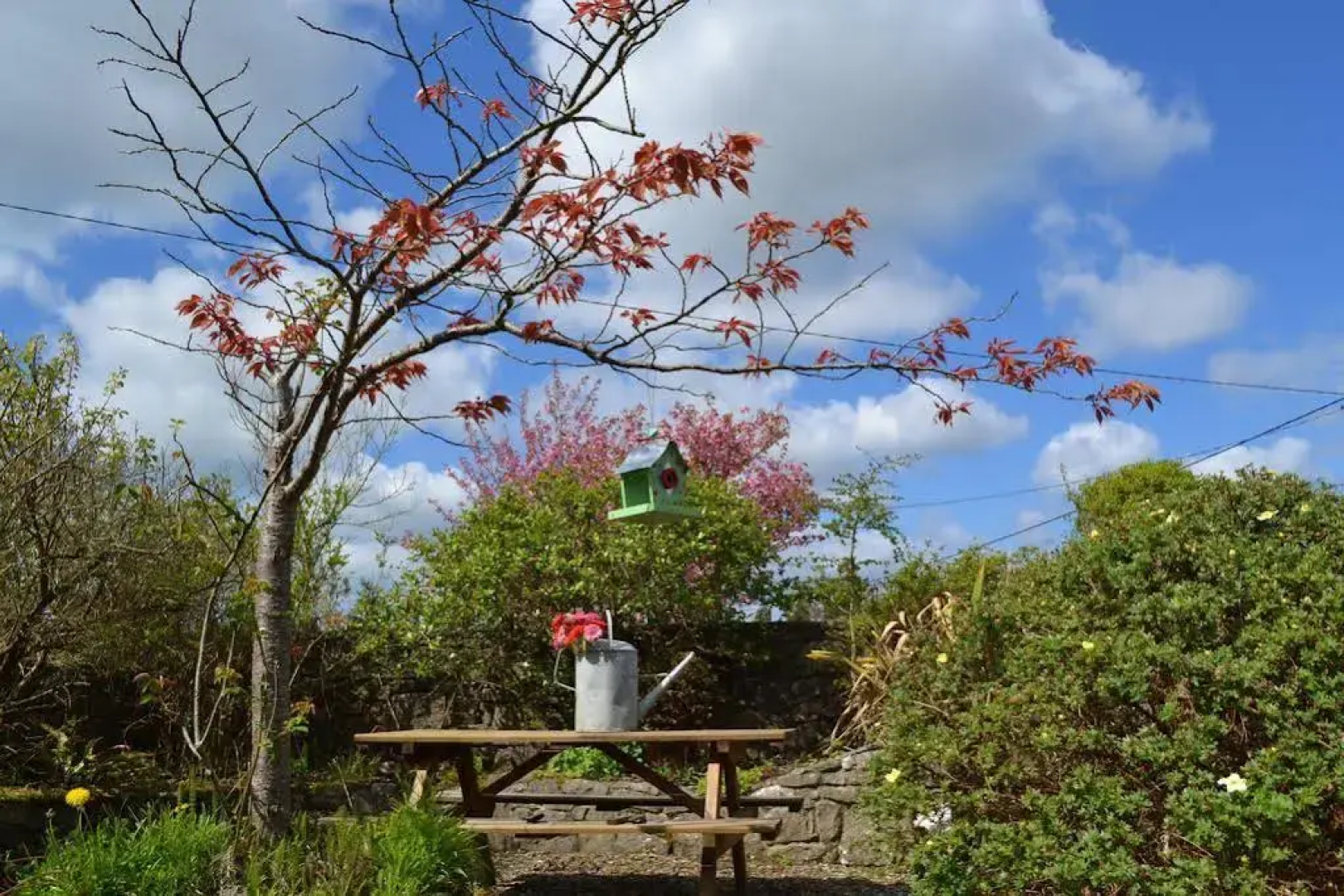 Wild Honey Inn