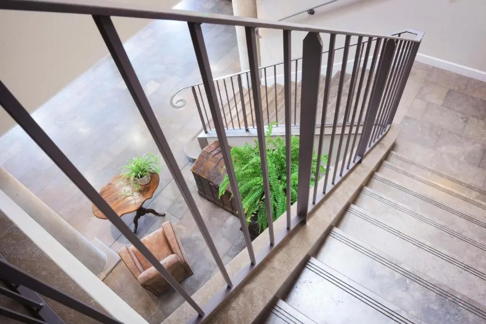 Le Canard Sur Le Toit