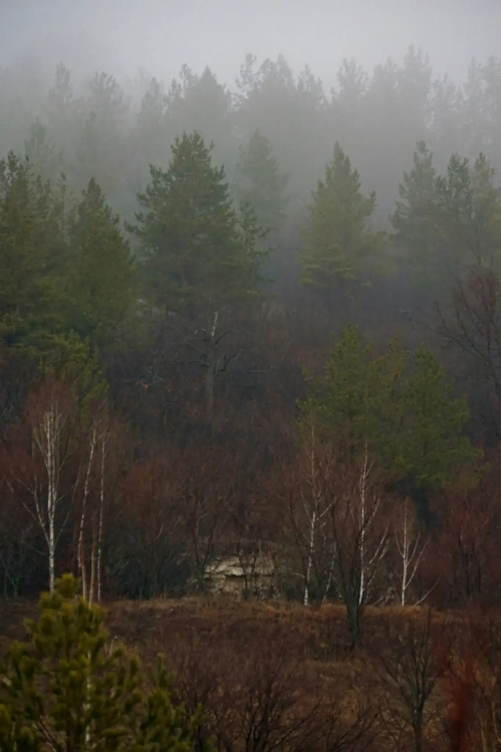 Домик в горах