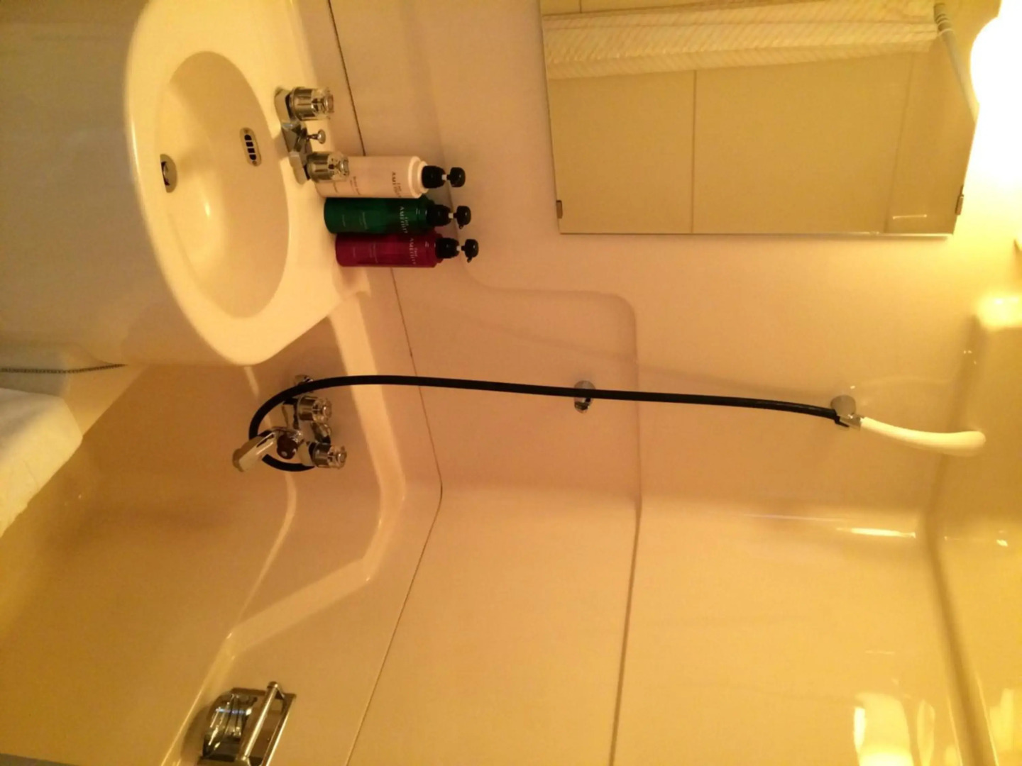 Sky Hotel Uozu Annex