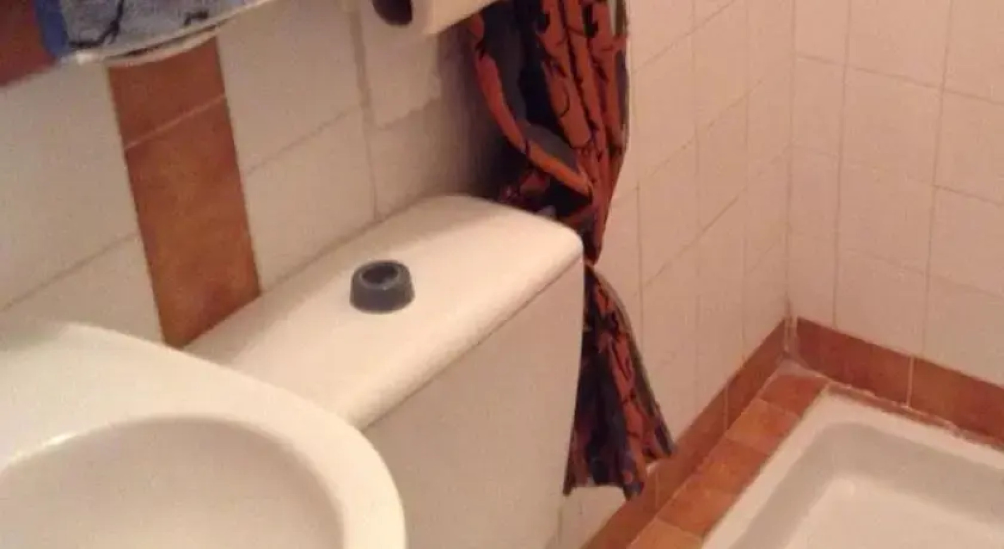 Hotel Rosa Damaskina