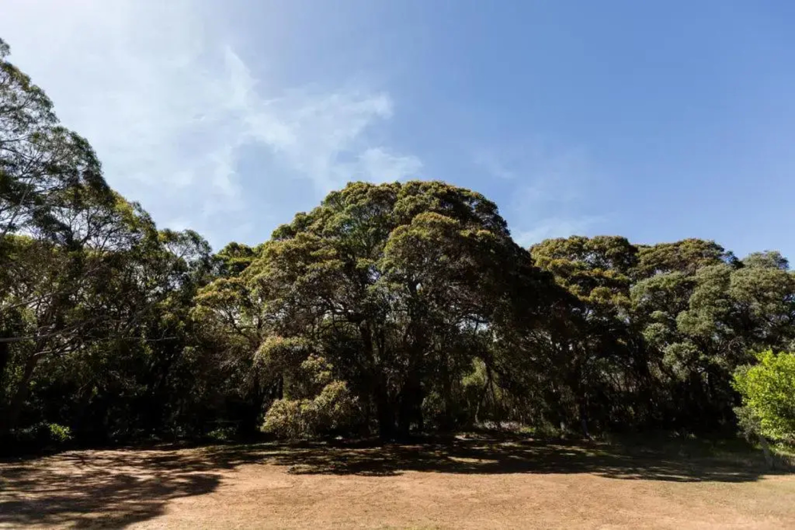 Turner Brook