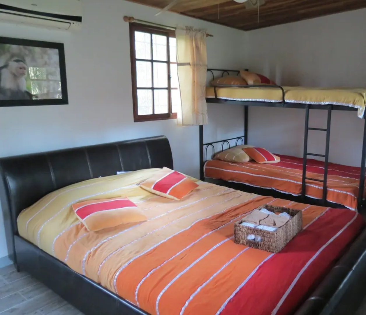 Monkey Lodge Panama
