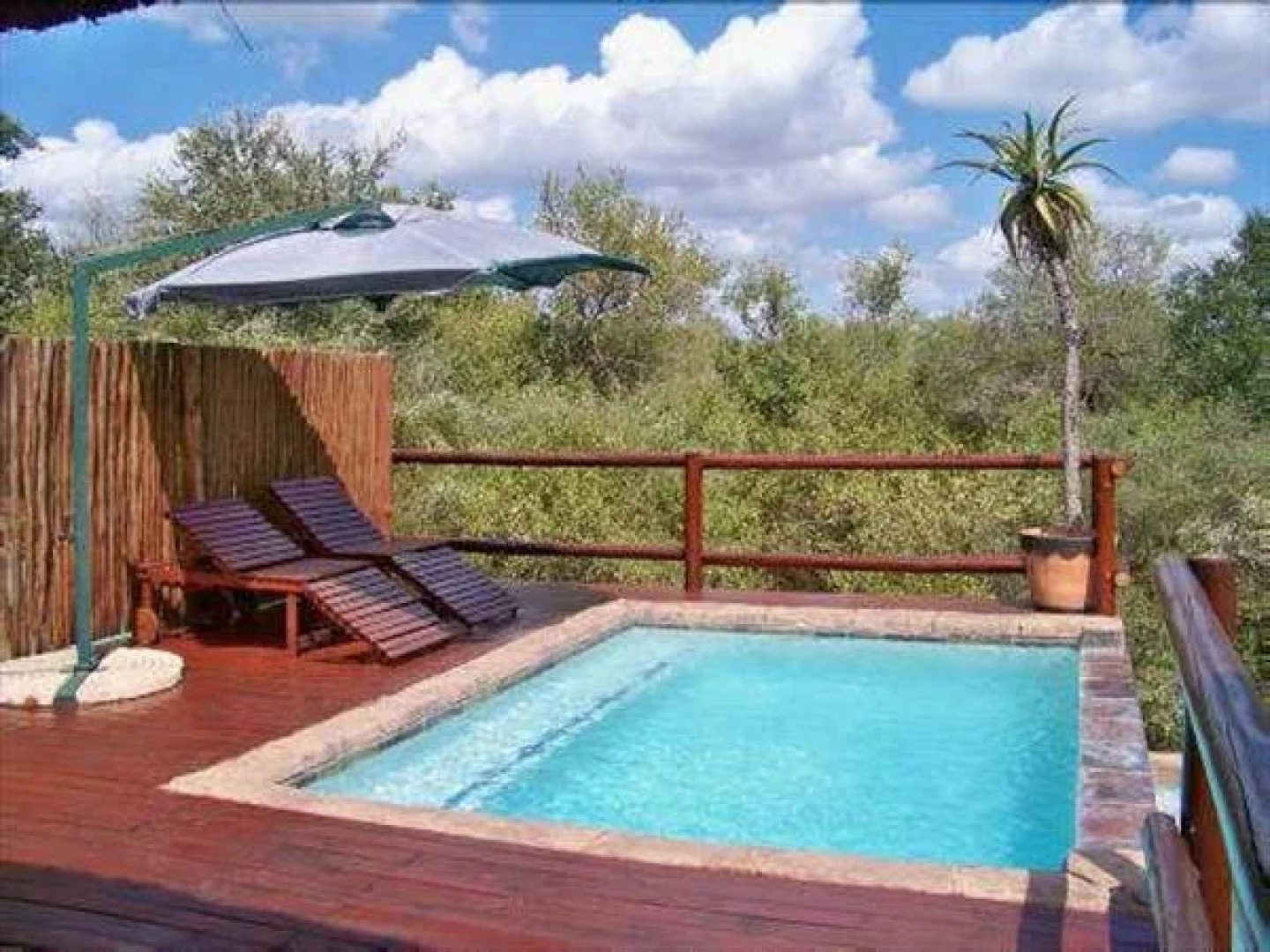 Bushwise Safari Lodge