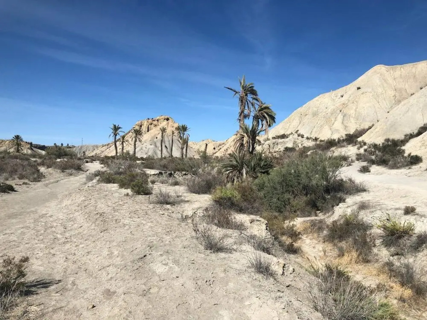 Boutique Hideaway Cortijo El Sarmiento