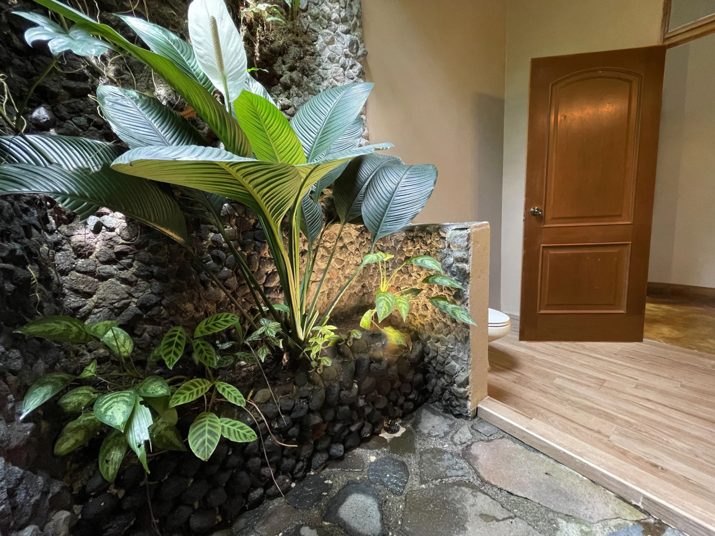 Lost Iguana Resort and Spa