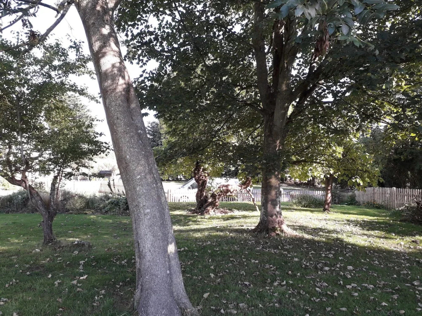 The Victorian House B&B