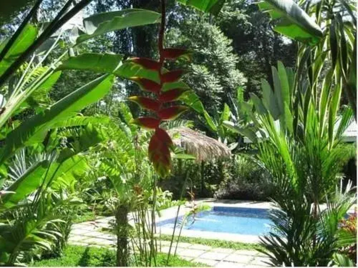 VIP Hotel Playa Negra