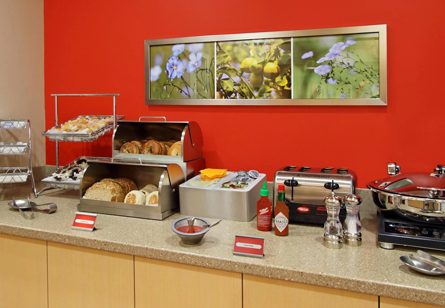 TownePlace Suites San Jose Santa Clara