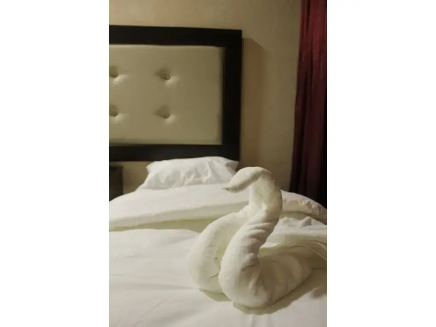 Oak Tree Castle Hostel