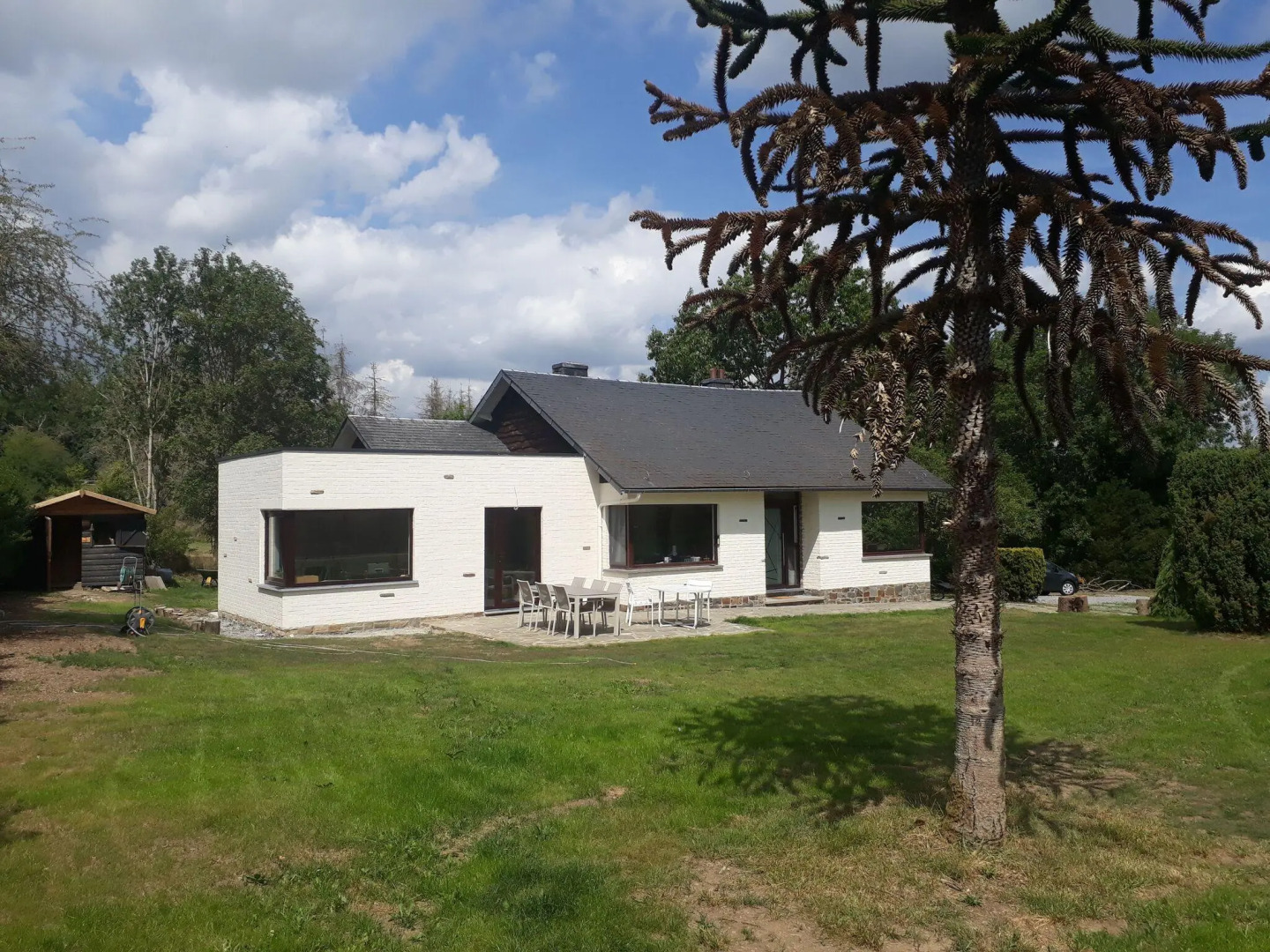 The Waltz of the Chickadees in Somme Leuze