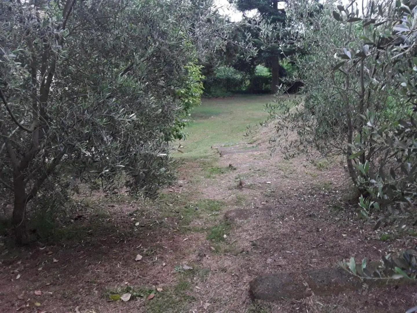 Agriturismo Il Sentiero